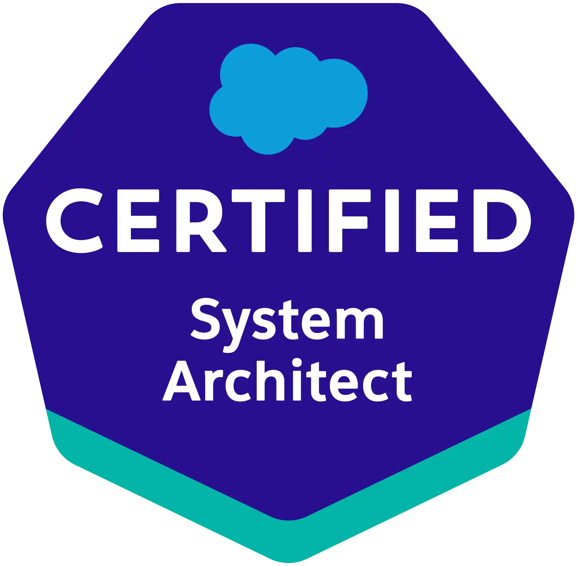 Salesforce System Architect