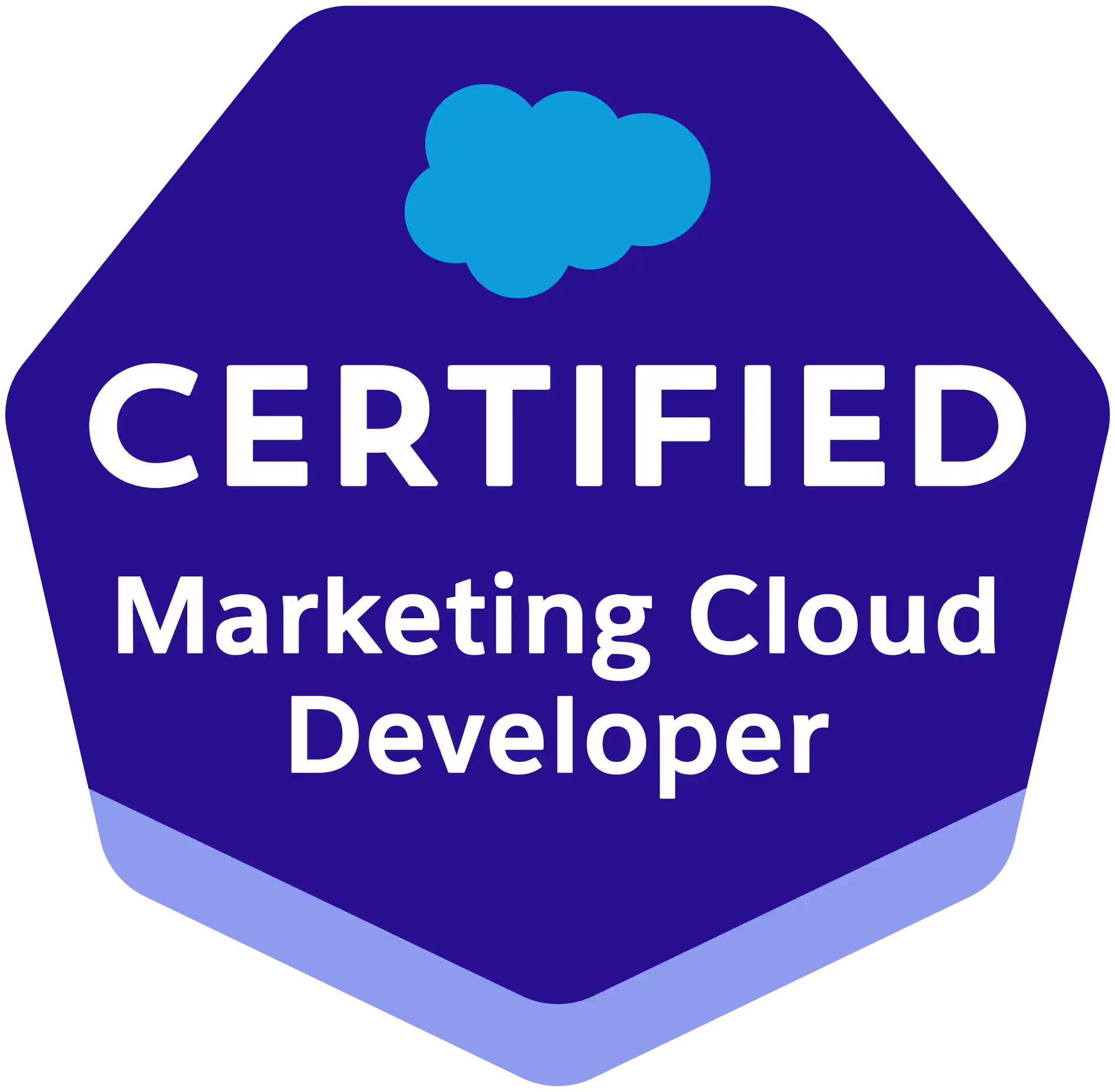 Salesforce Marketing Cloud Developer