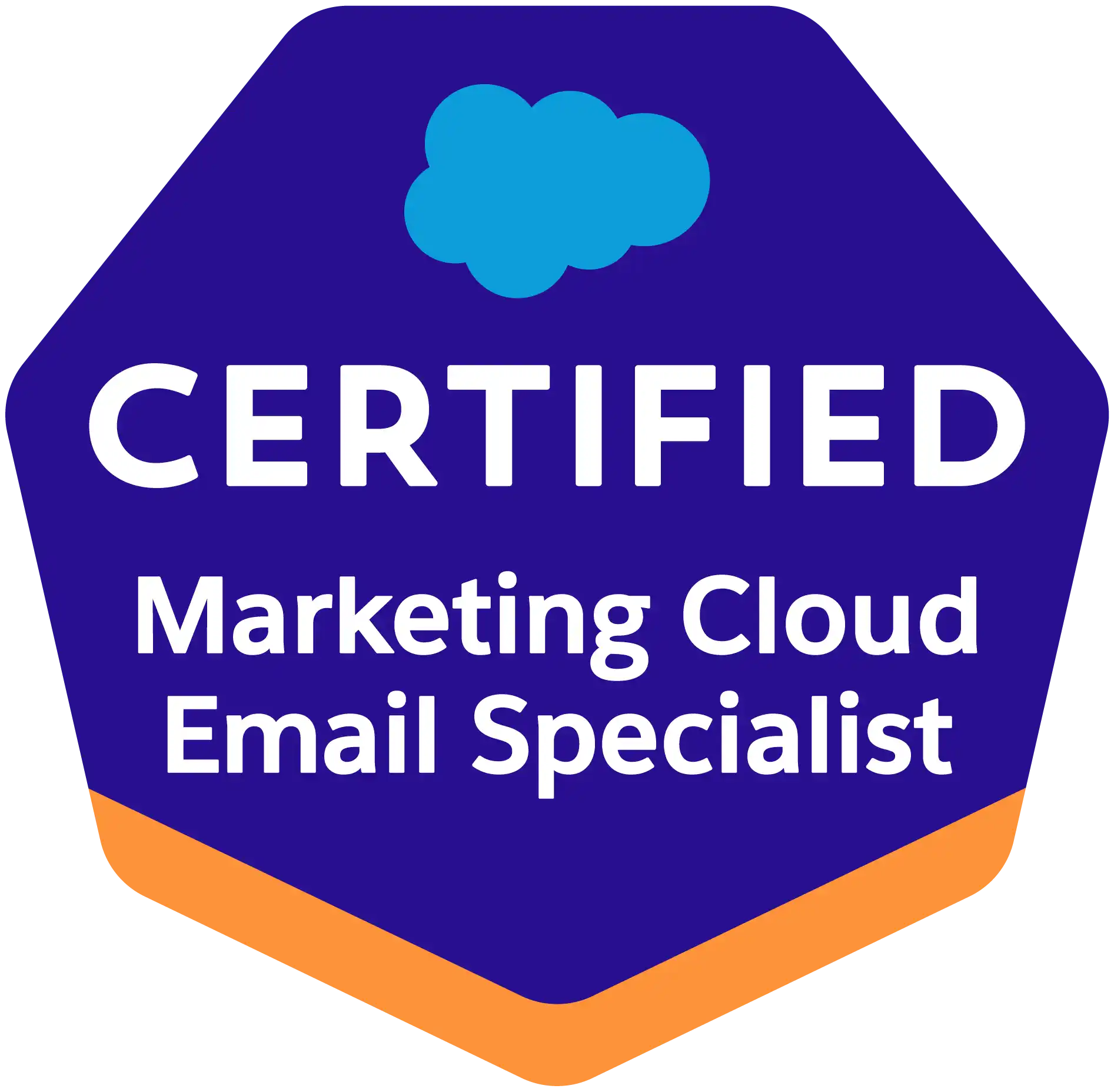 Salesforce Marketing Cloud Email Specialist