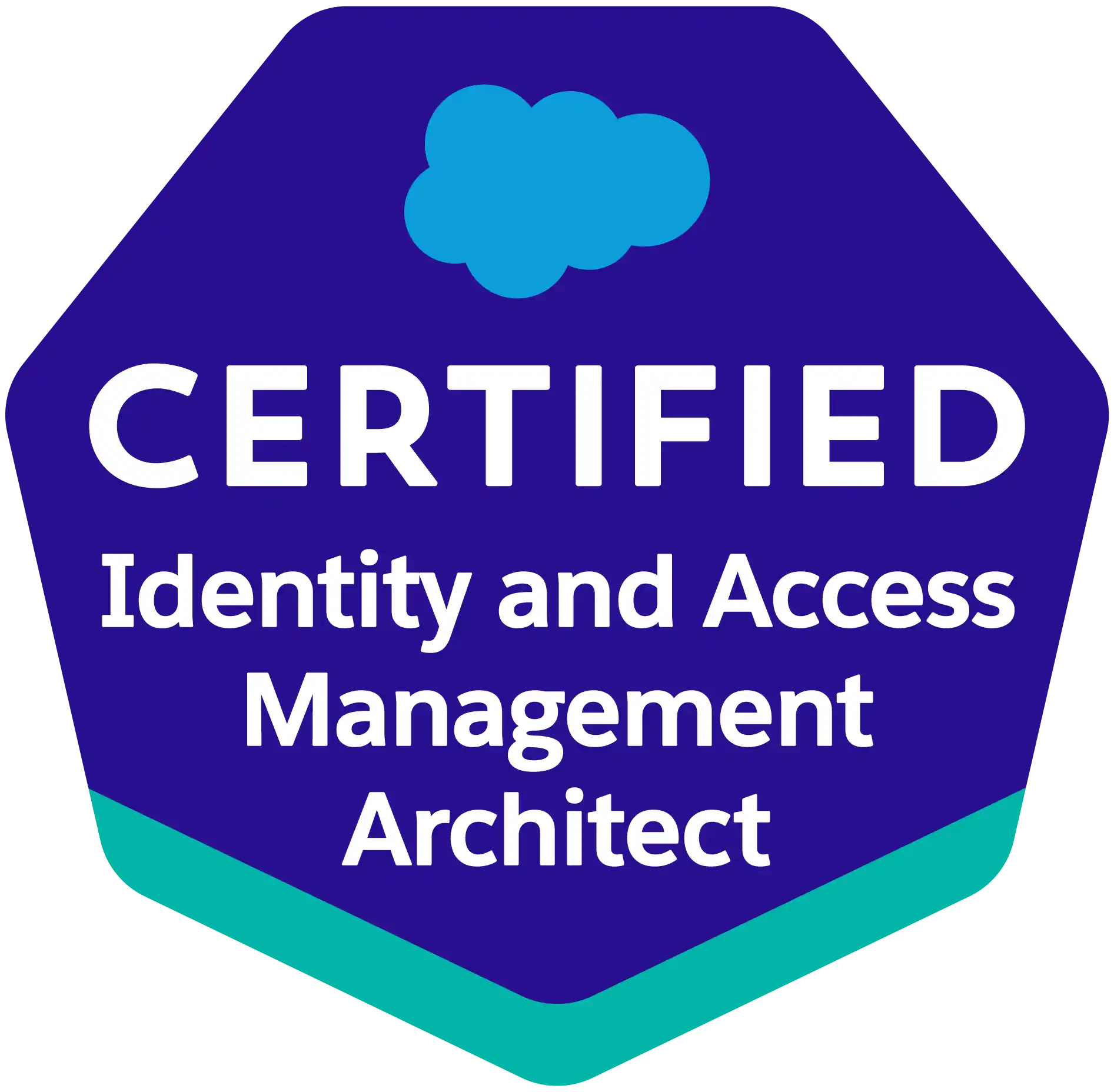 Salesforce ID and Access Management Architect