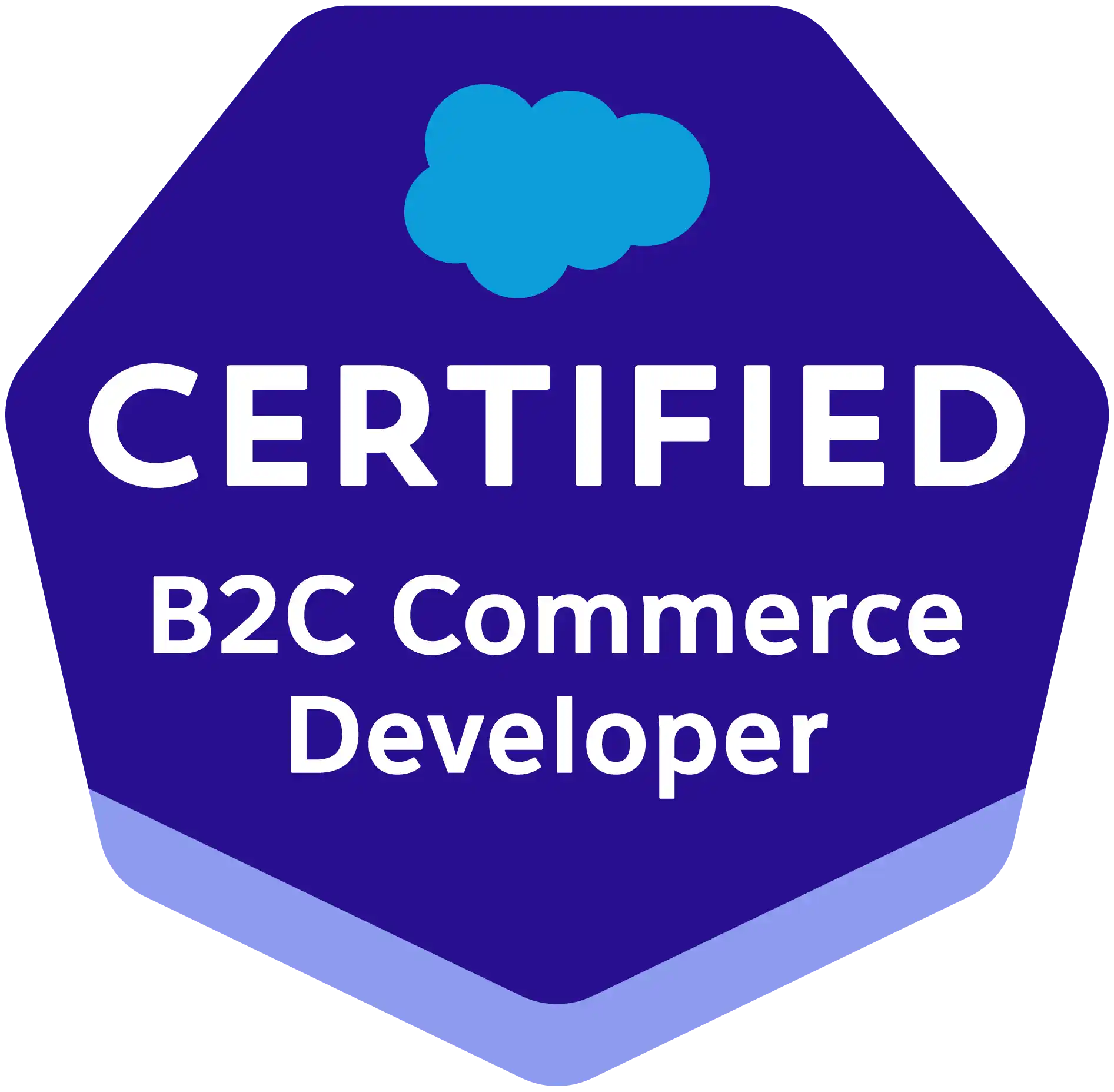 Salesforce B2C Commerce Developer